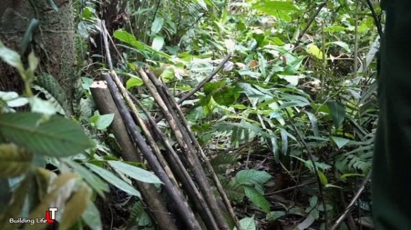 Survival Instinct- Building a Warehouse for Firewood, My Food is Rock Crab, Build a New Life | Ep.1