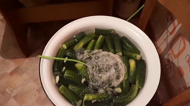 Озонирование огурцов перед закруткой смотреть онлайн