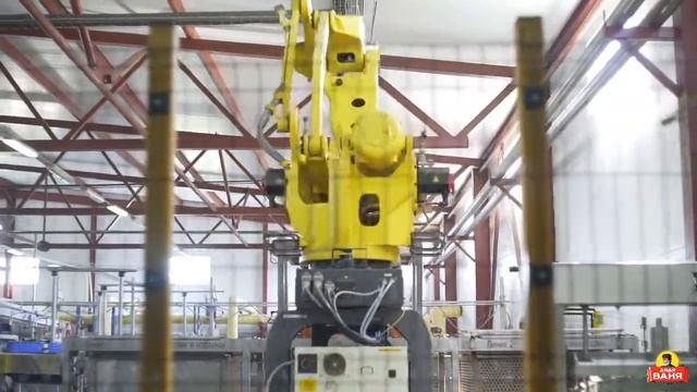 Дядя Ваня - Выращиваем сами. Производство кабачковой икры смотреть онлайн