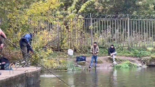 Форель смотреть онлайн