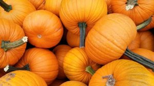 Как хранить разрезанную тыкву в домашних условиях в квартире, чтобы она не пропала