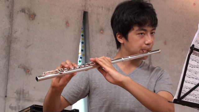 Bizet/Borne Carmen Fantasy flute ビゼー／ボルヌ　カルメンファンタジー смотреть онлайн