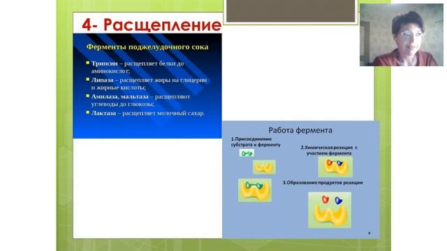Белок - наше всё! смотреть онлайн