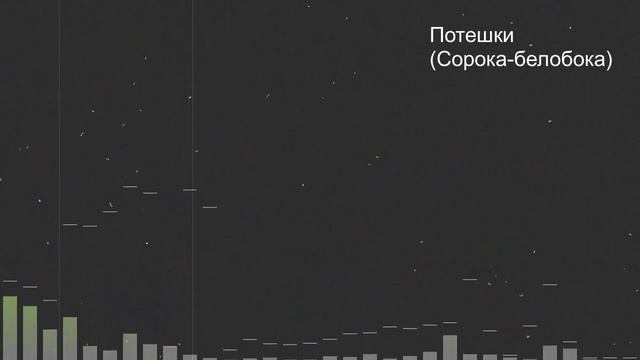 Сорока-белобока