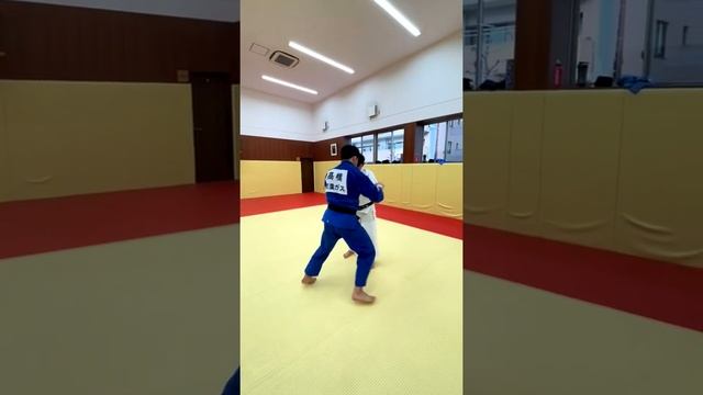 This is for you!???#judoteam #judo#wwe2k20 #judoworlsambo#ippon #judoka#judolife#champion #ippon #柔 смотреть онлайн
