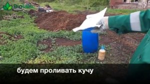 Запуск бактерий для компоста Biolatic compost-10