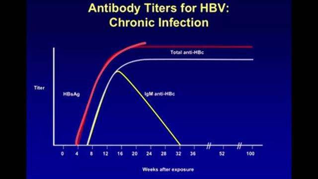 Hepatitis B Serology смотреть онлайн