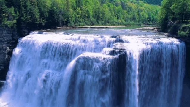 Спокойная музыка. Звуки природы (шум леса). смотреть онлайн