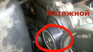 Замена водяной помпы Ford Focus I 1.6L Zetec Rocam (высокой мощности)