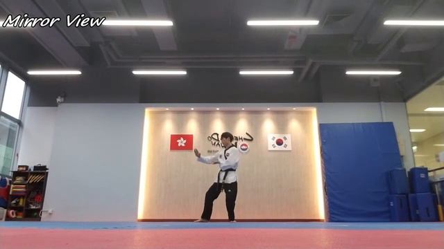 Taekwondo - Poomsae Koryo Slow-motion & Mirror смотреть онлайн