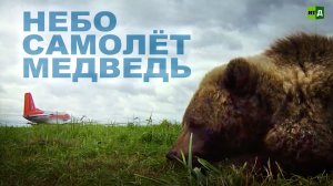 Небо. Самолёт. Медведь