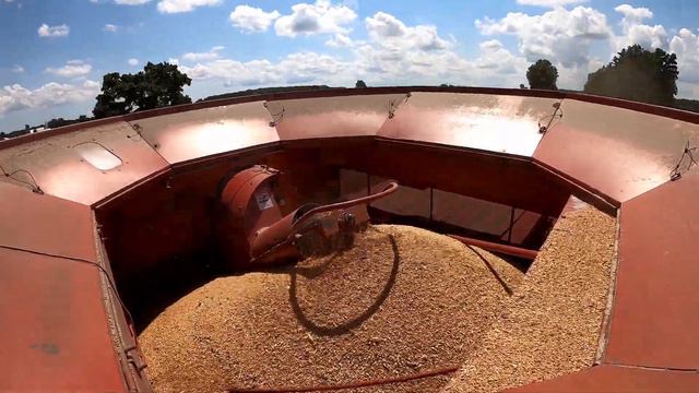 How a Combine Works Harvest Wheat Case IH 2366 смотреть онлайн