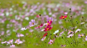 Как долго я тебя искал! Интересные истории из жизни истории любви и измен до слез жизненные рассказ