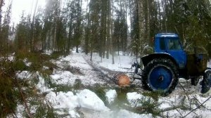 ГОТОВИМ ЛЕС НА МТЗ-82.1