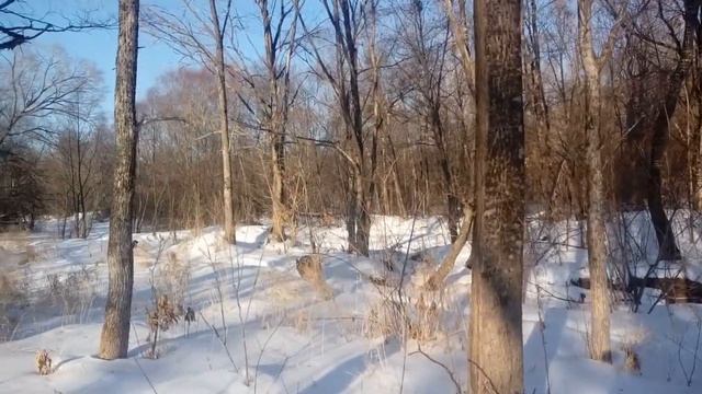 Беременная Марина Кравец показала свой живот ! Кто отец Карибидис? смотреть онлайн