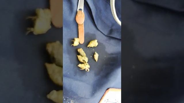 Про раков отшельников 3 смотреть онлайн