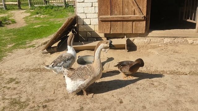 The Lublin open air Village museum, Poland/Музей под открытым небом в Люблине, Польша смотреть онлайн