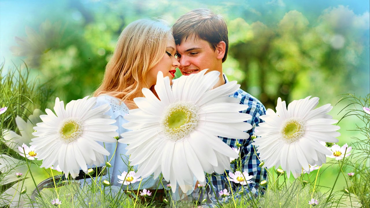 БЕЛЫЕ РОМАШКИ! Красивая песня о Любви! смотреть онлайн