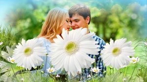 БЕЛЫЕ РОМАШКИ! Красивая песня о Любви!