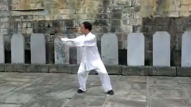 Мастер Ван Лин Тайцзи Ян 8 форм смотреть онлайн