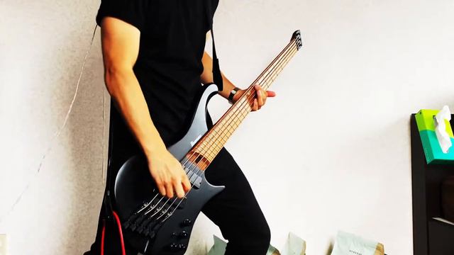 Linkin Park - figure.09 || Bass Cover смотреть онлайн