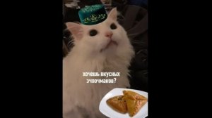 Приколы! РОЖДЕСТВО СТУДЕНТА - МЕМЫ!!! Смешные видео от – Доми шоу!