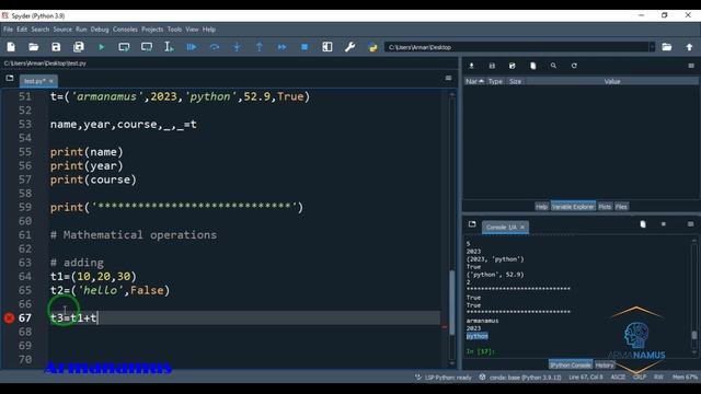 Swallow Python Training Course: Part 7: Tuples смотреть онлайн