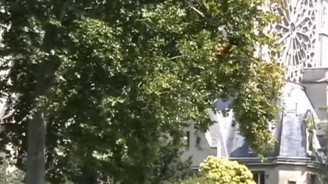 Полиция Франции за работой Полиция Парижа смотреть онлайн