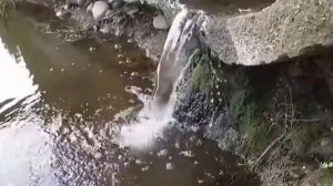 Какую воду использовать в аквариум_  Родниковую  (из скважены, колодца и т,д,) или из водопровода