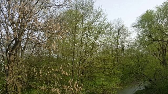 Поселок Ахтырский. Цены на дома