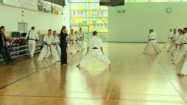Warsaw seminar with Tsukamoto-sensei 2011 part 1, смотреть онлайн