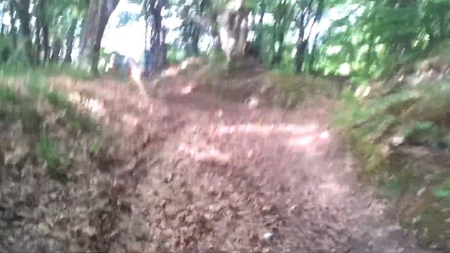 Sumske vragolije смотреть онлайн