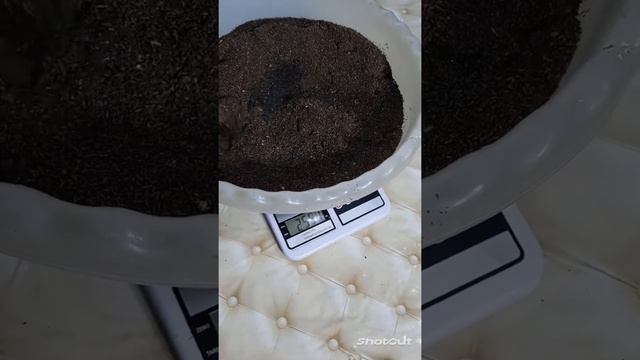 зоогумус чёрной ЛЬВИНКИ