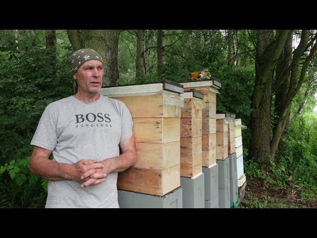 результат замены матки отводоком смотреть онлайн