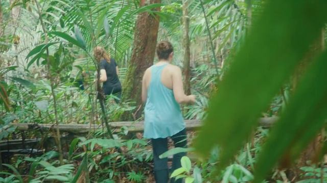 Brazil | Travel Film | Rio, Manaus, Rio Jumas, Amazon Rainforest смотреть онлайн