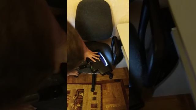 Как полностью удалить шерсть с коврового покрытия и мягкой мебели за 1 минуту смотреть онлайн