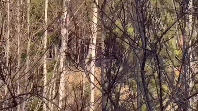 Самоизоляция день 100. Боди позитив, жизнь без света, и охота. смотреть онлайн