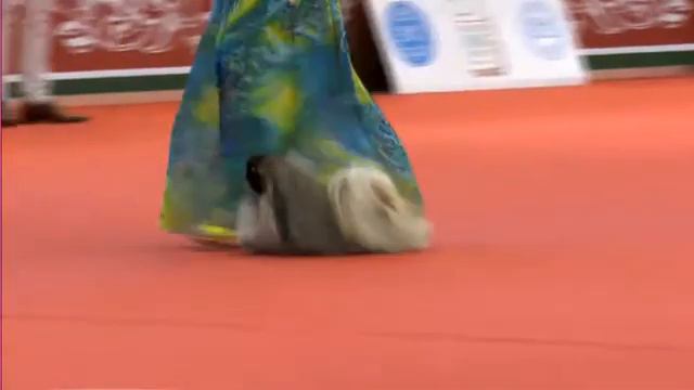 ЧМ 2013 Третий день Best veteran смотреть онлайн