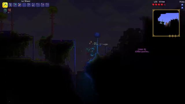 Playing as The Dark Healer Class in a Multiplayer Expert Thorium World! смотреть онлайн