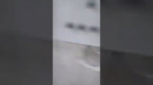 Технология напольного содержания бройлеров #бройлеры #технология #куры #оборудования #бройлер