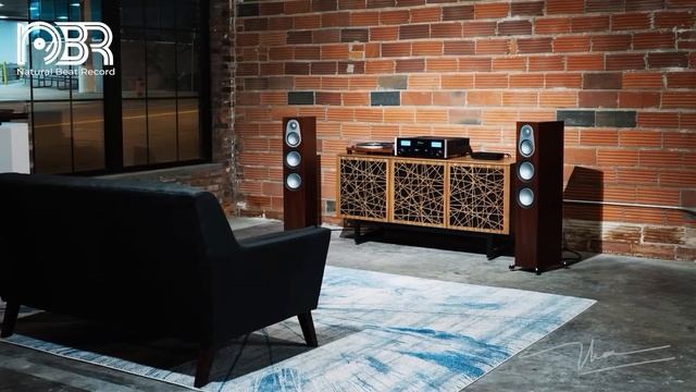 Best Audiophile Voices & Instruments - Hi-Res Music - Audiophile NBR Music