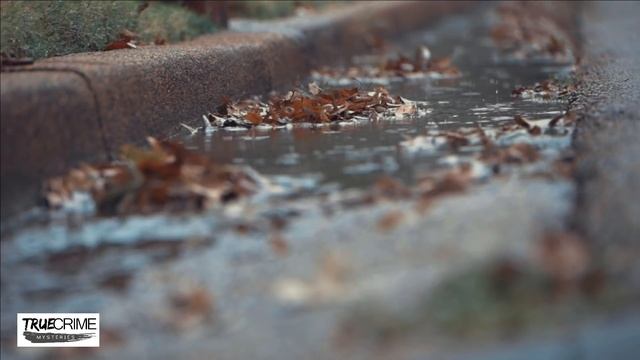 3 More Cold Cases Solved by DNA Decades Later | COLD CASE FILES смотреть онлайн