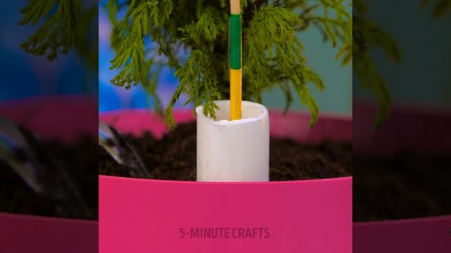 GROWING PLANTS 101: Useful Plant Hacks & Gardening Tips смотреть онлайн