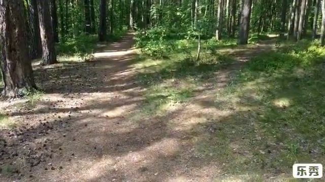 Elina-38 Местоимения, 2 часть. Pronomi diretti, indiretti, doppi. Итальянский с Элиной, 38 смотреть онлайн