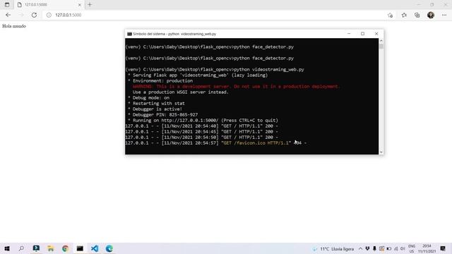 ? Videostreaming con Flask y OpenCV | Python смотреть онлайн