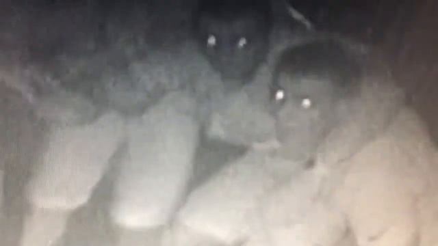 Осмотреться не отпуская никуда друзей! Квесты в Калуге смотреть онлайн