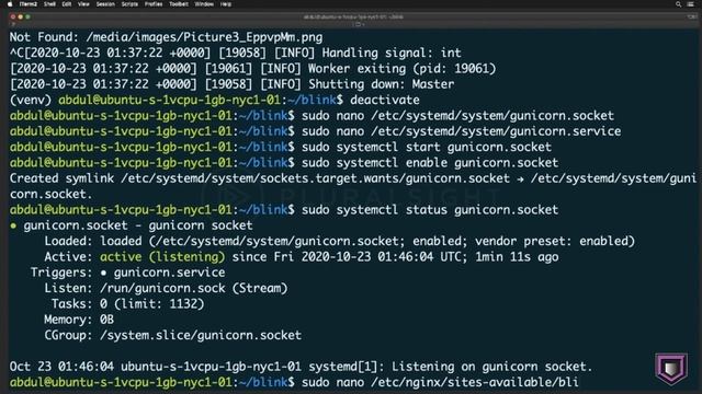 Deploy Blink App To Linux Server Using Nginx|Django Web Development full-course |python web Dev смотреть онлайн
