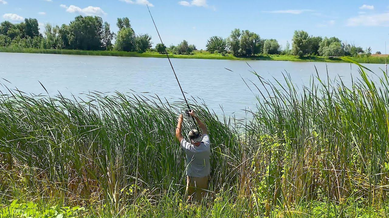 НАГРАДА ЗА ТЕРПЕНИЕ! ПОПАЛСЯ ТРОФЕЙ, ЕЛЕ ДОСТАЛ. Рыбалка на сазана с ночевкой. смотреть онлайн