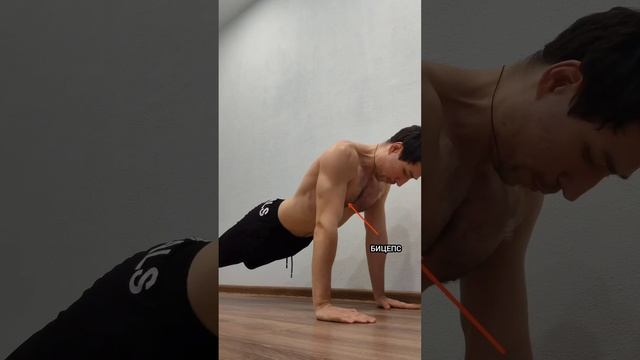 Какие мышцы работают в отжиманиях #спорт #отжимания смотреть онлайн