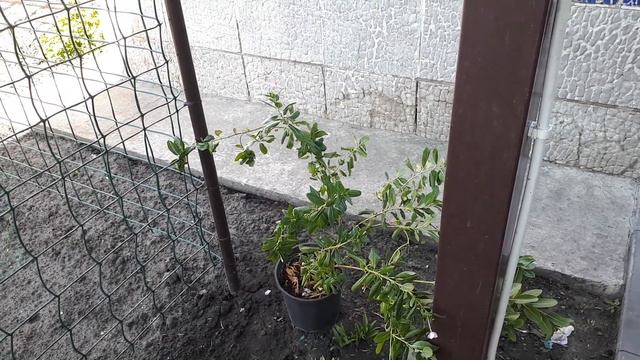 НИКТО КРОМЕ НАС САМИХНУ РАЗВЕ ЭТО НЕ КРАСОТА??